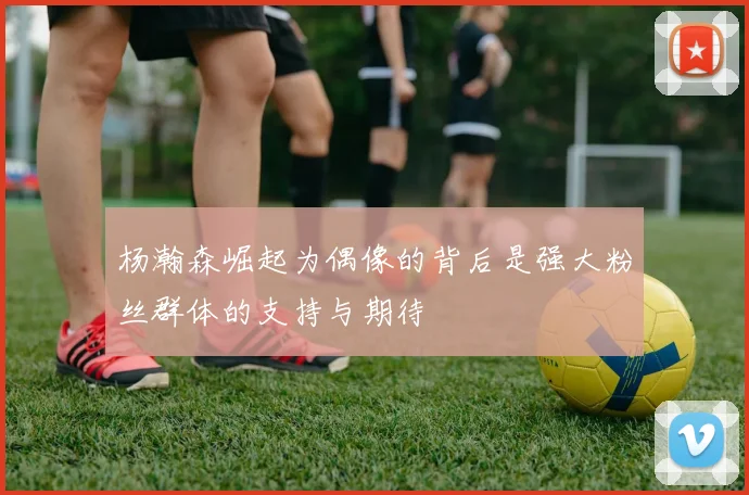杨瀚森崛起为偶像的背后是强大粉丝群体的支持与期待